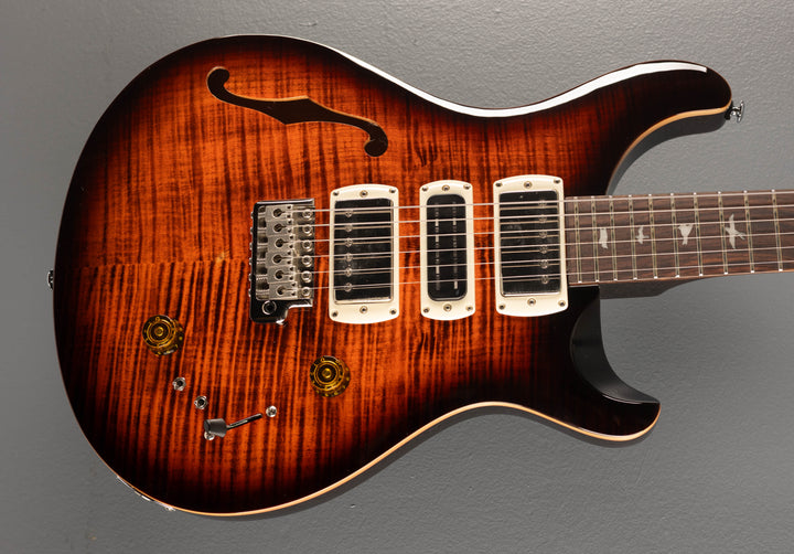 SE Special Semi Hollow, '25