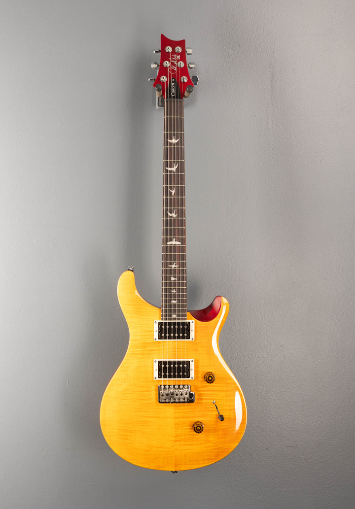 SE Custom 24, '25