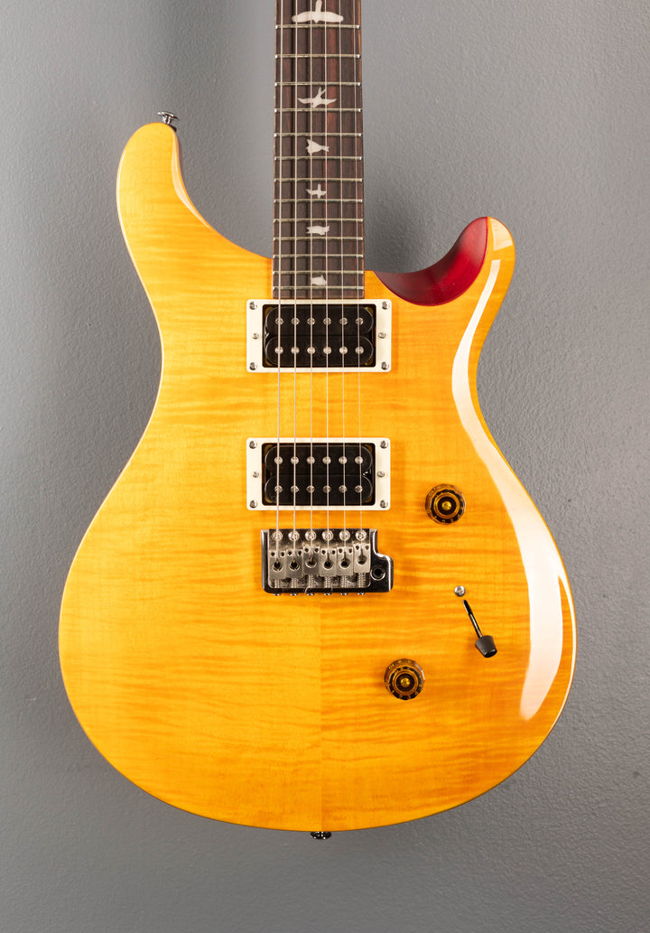 SE Custom 24, '25