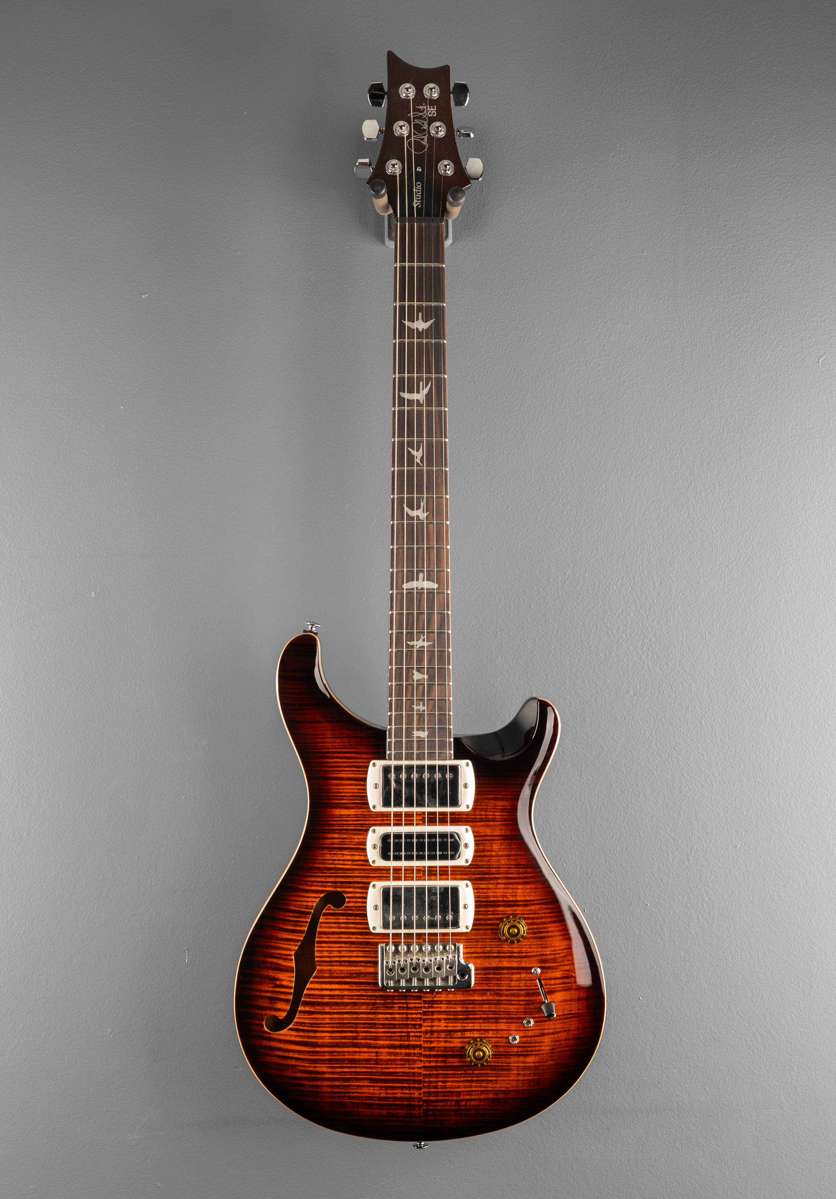 SE Special Semi Hollow, '25 – Dave's Guitar Shop