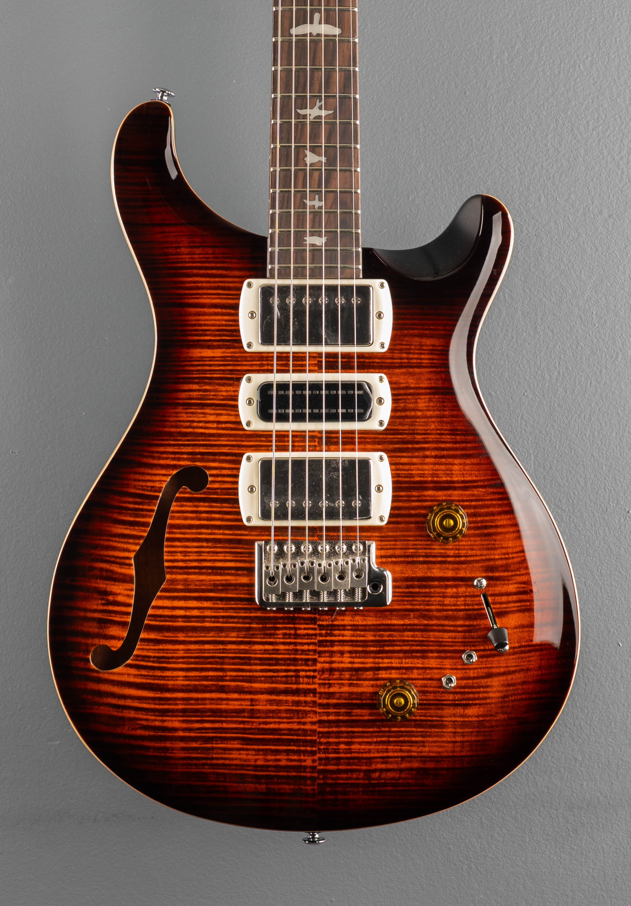 SE Special Semi Hollow, '25 – Dave's Guitar Shop