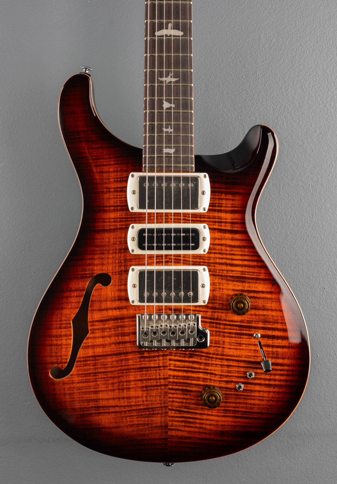 SE Special Semi Hollow, &