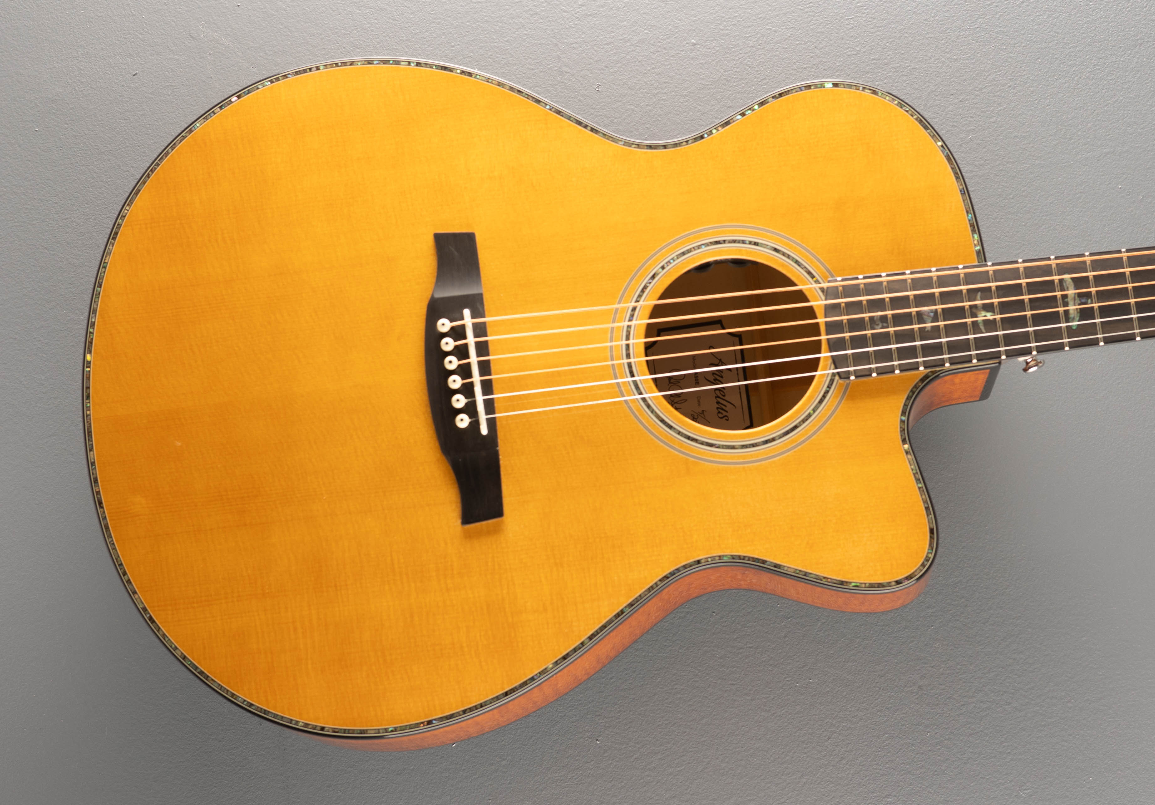 Paul Reed Smith Acoustics – Dave's Guitar Shop