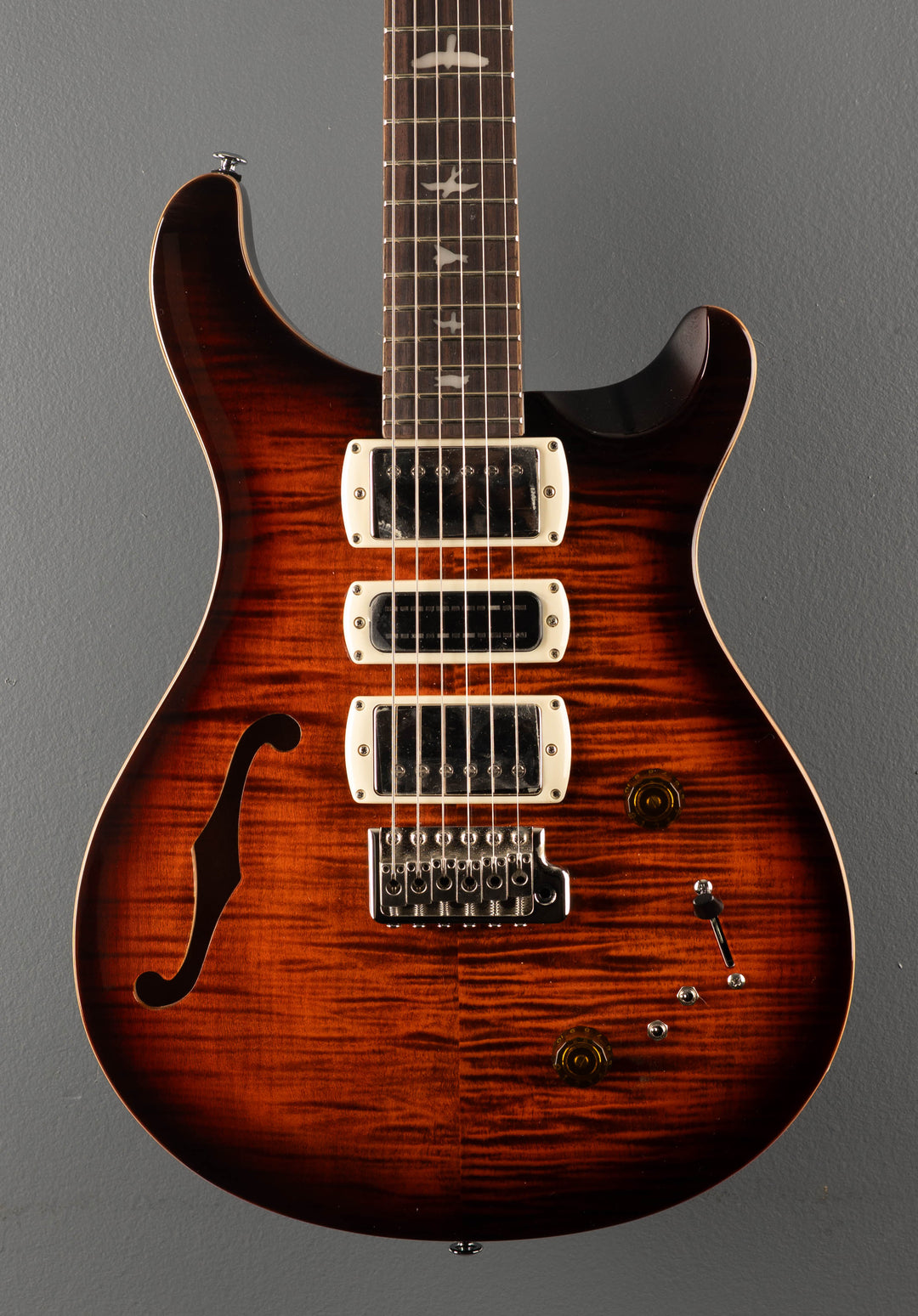 SE Special Semi Hollow, '25