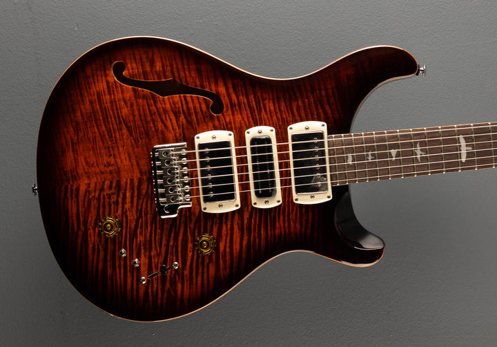 SE Special Semi Hollow, '25