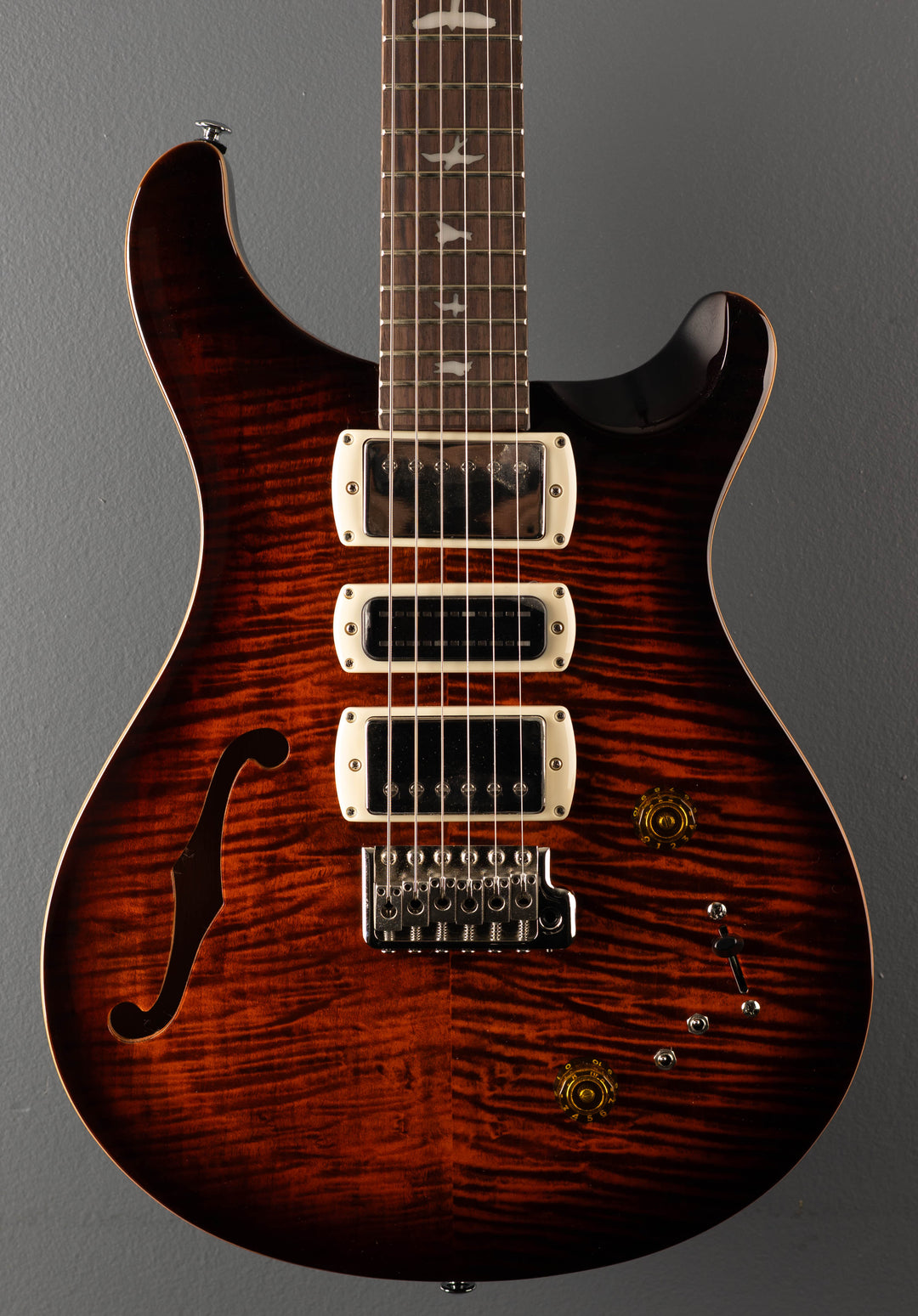 SE Special Semi Hollow, '25