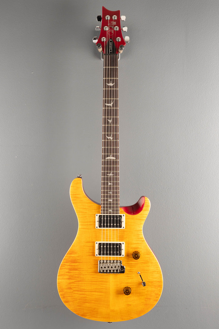 SE Custom 24, '25