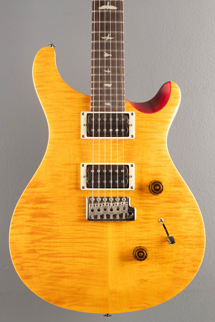 SE Custom 24, '25