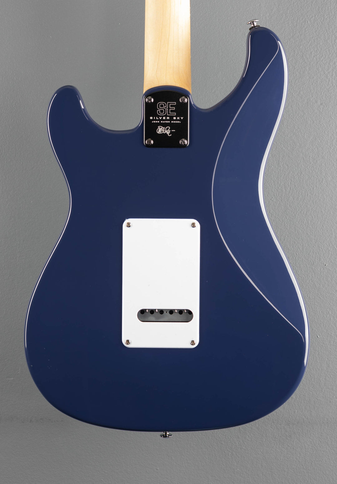 SE Silver Sky w/Rosewood, &