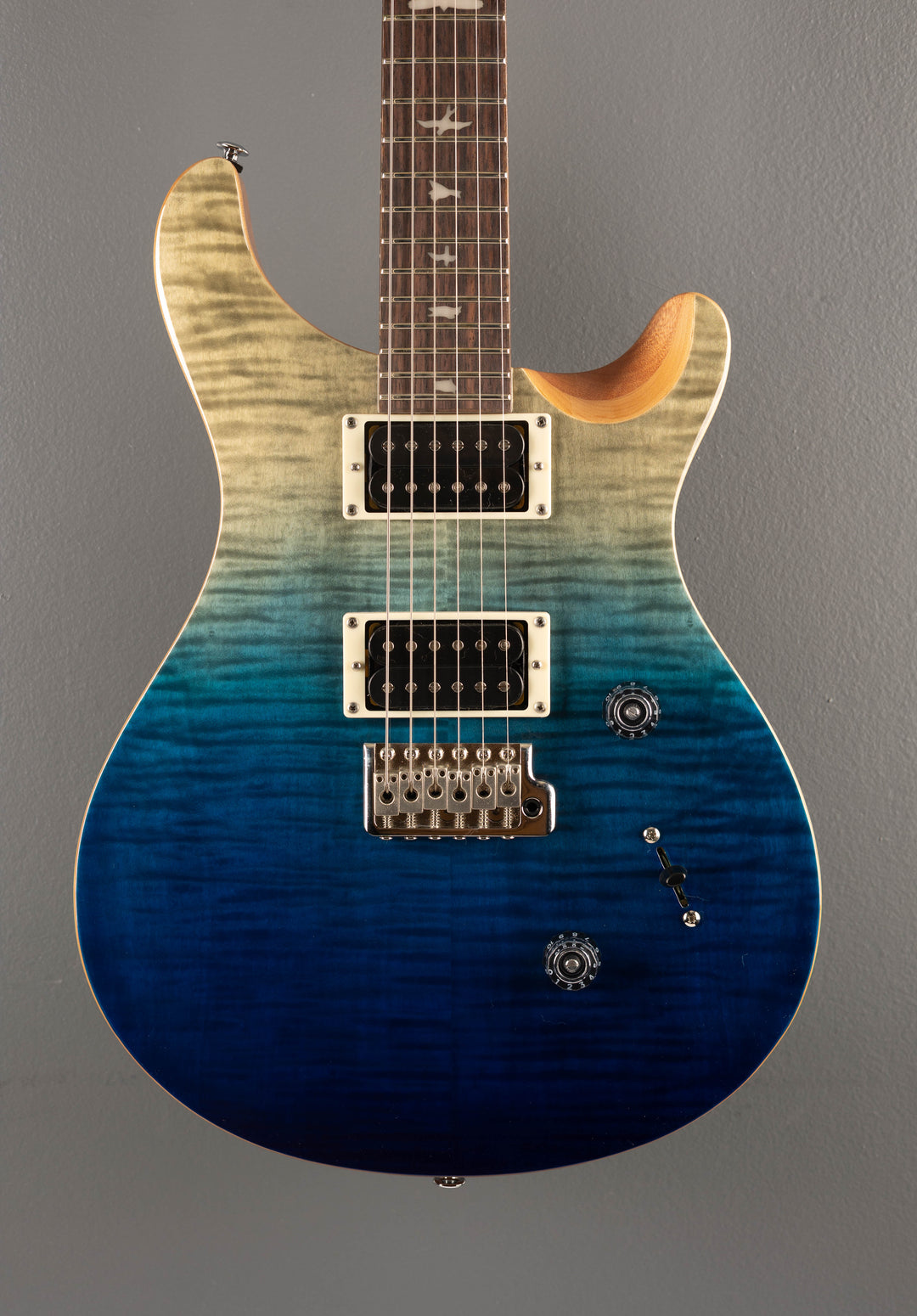SE Custom 24, '25