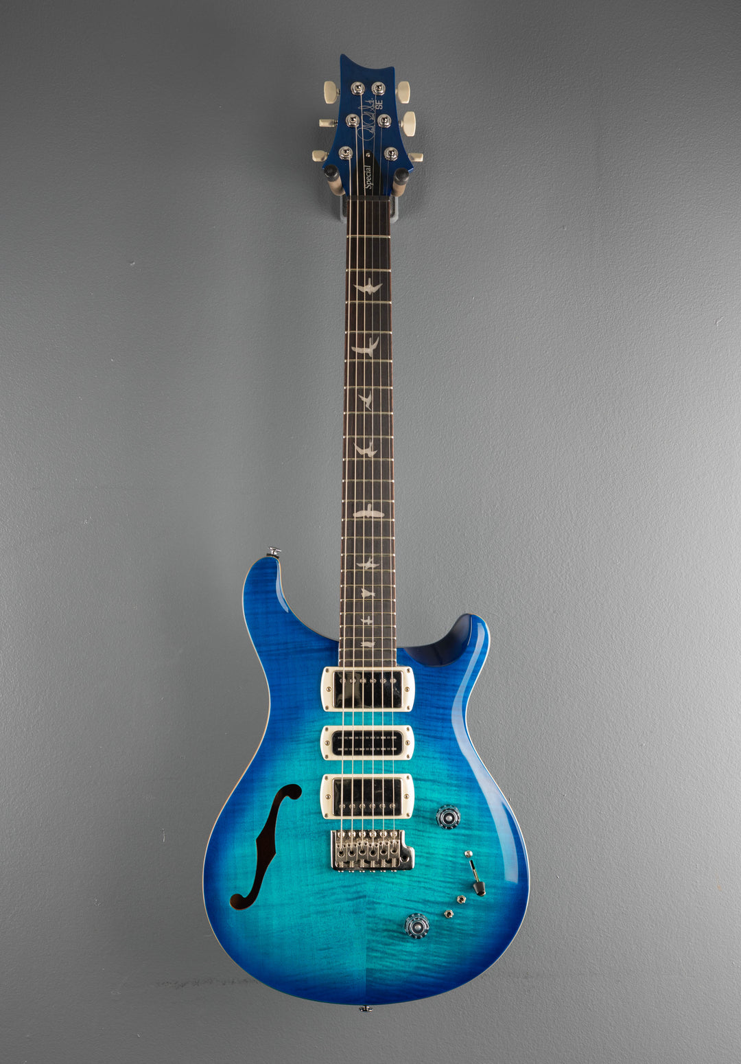 SE Special Semi Hollow, &