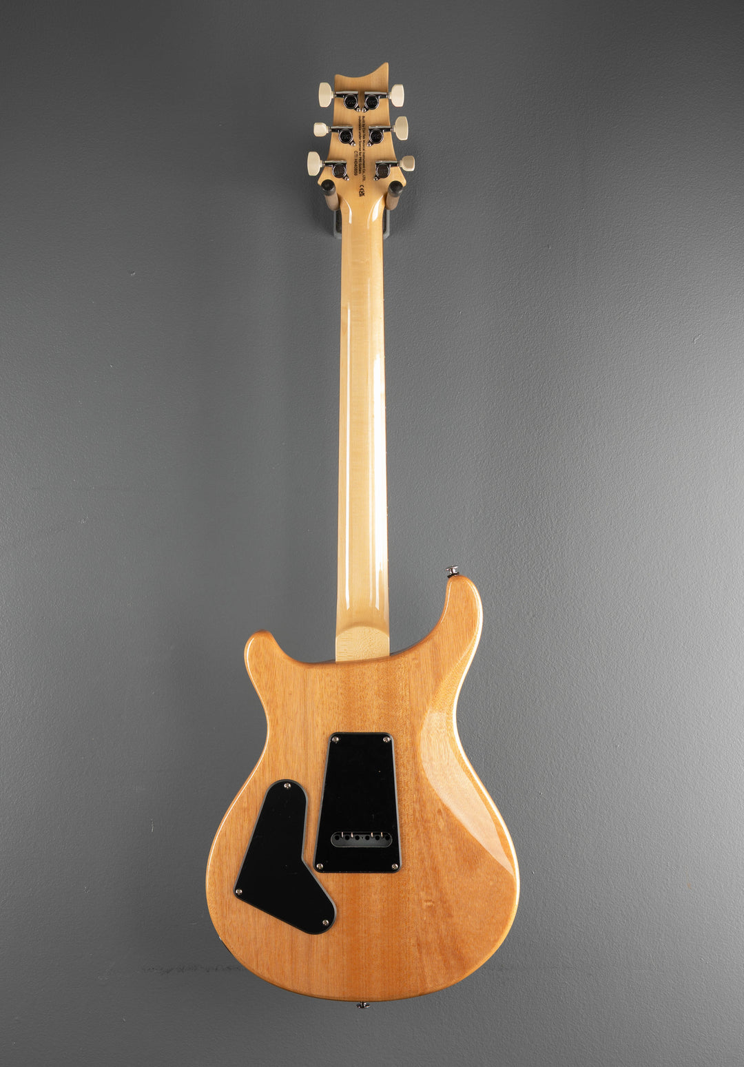SE Custom 24, &