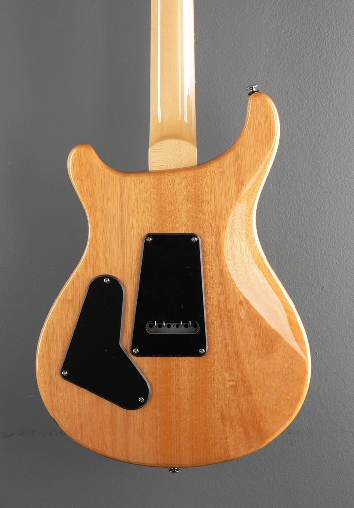SE Custom 24, &