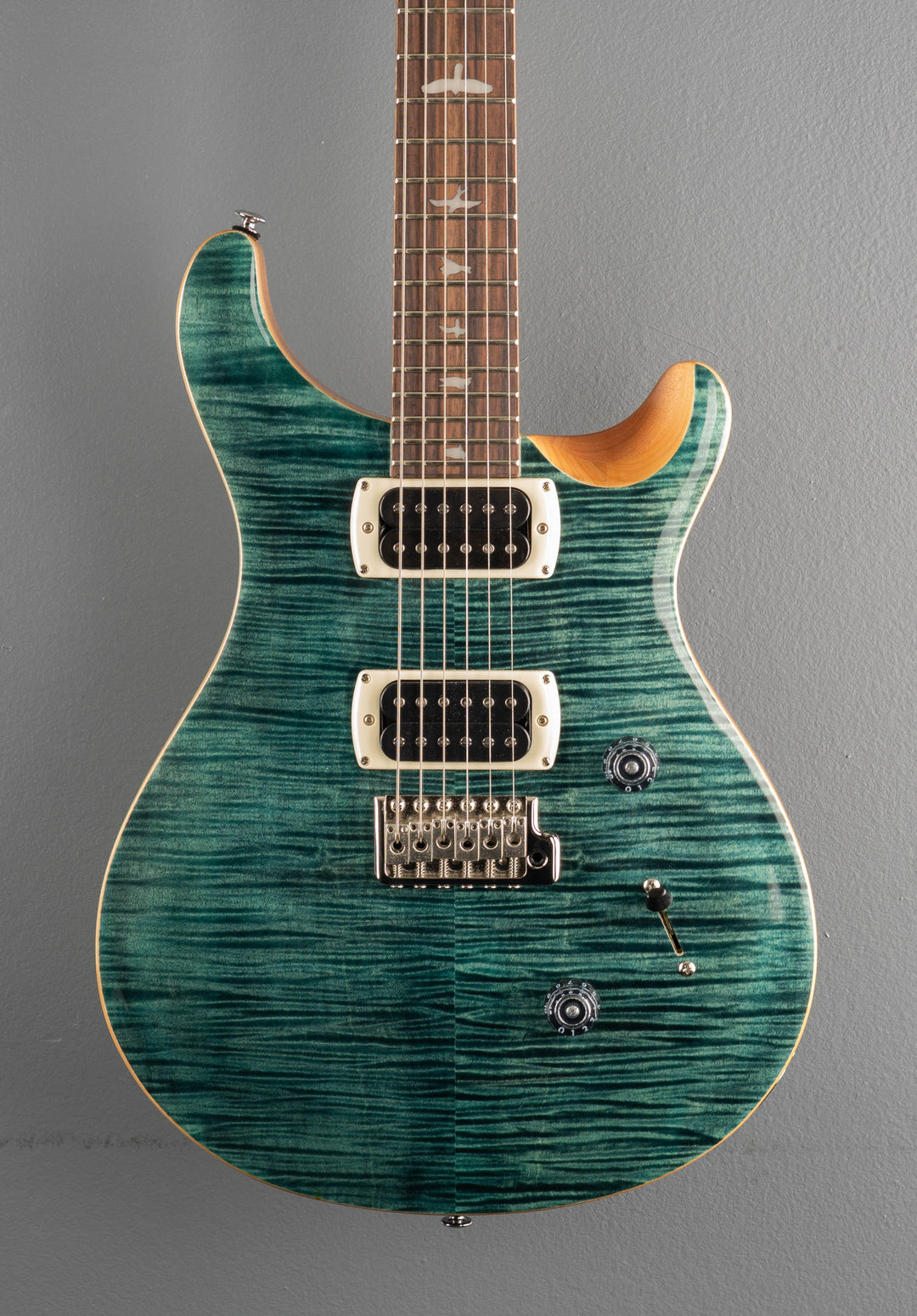 SE Custom 24, &