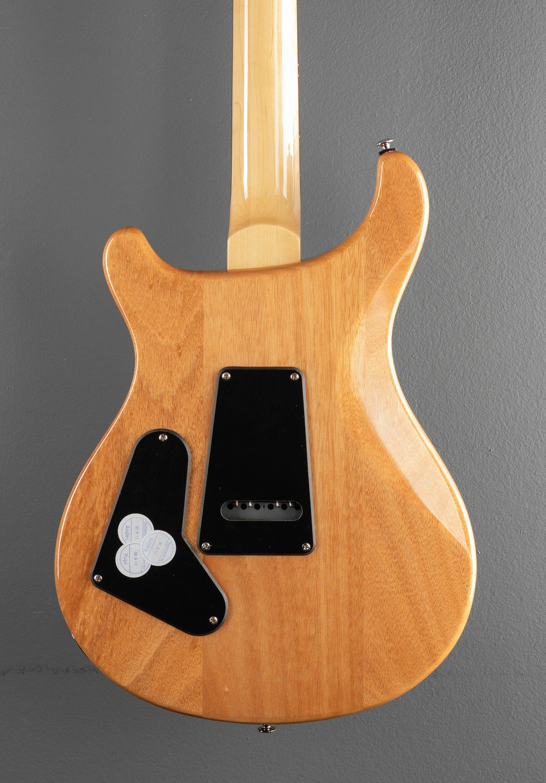 SE Custom 24, &