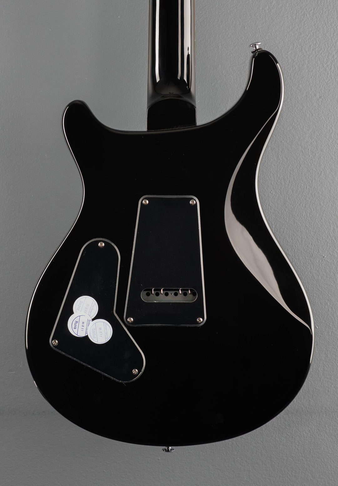 SE Custom 24, &