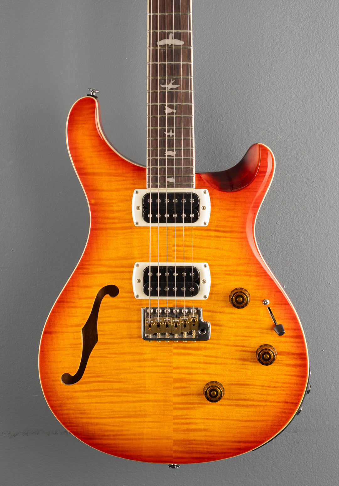 SE Custom 24 Semi Hollow Piezo, &