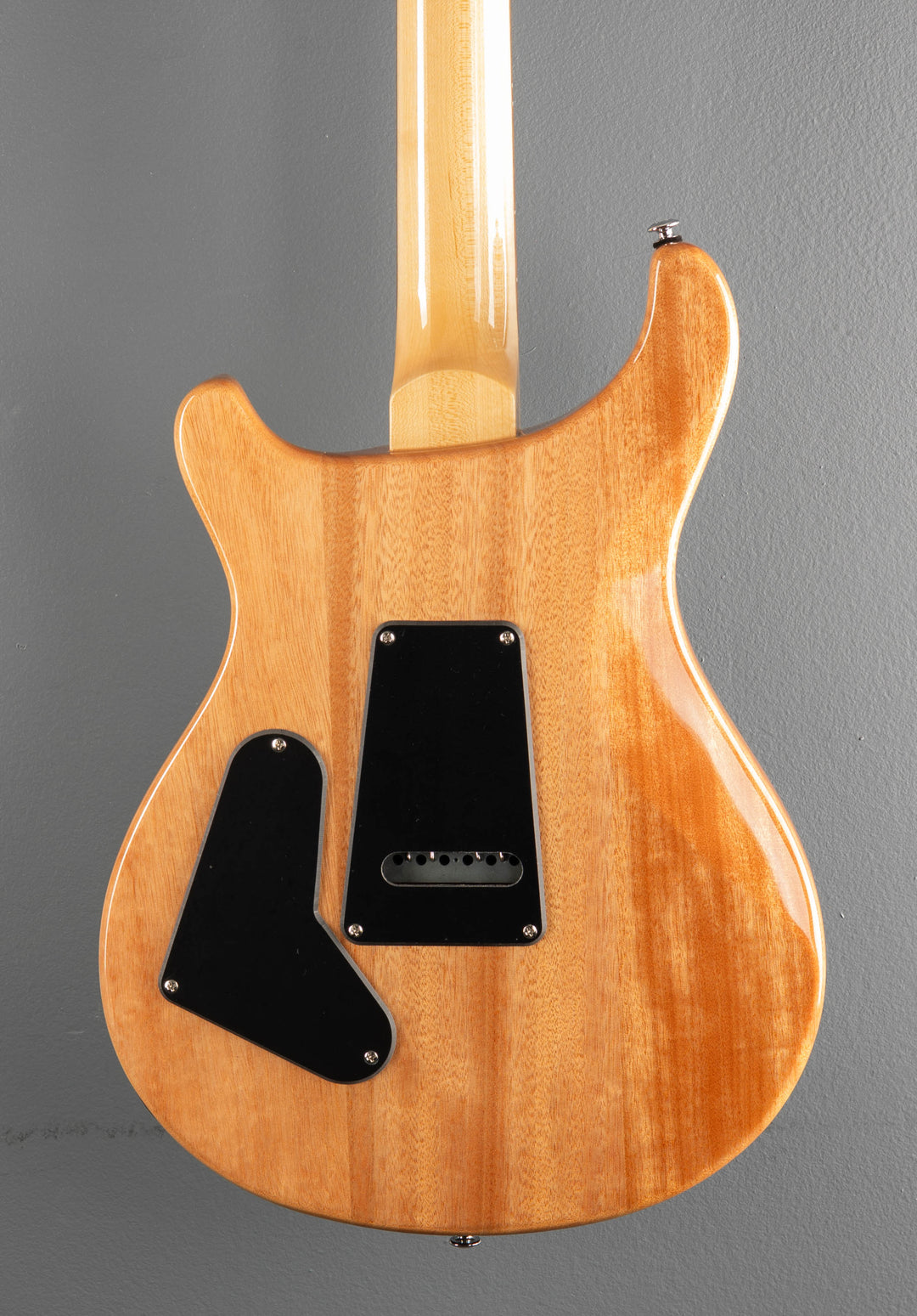 SE Custom 24, &