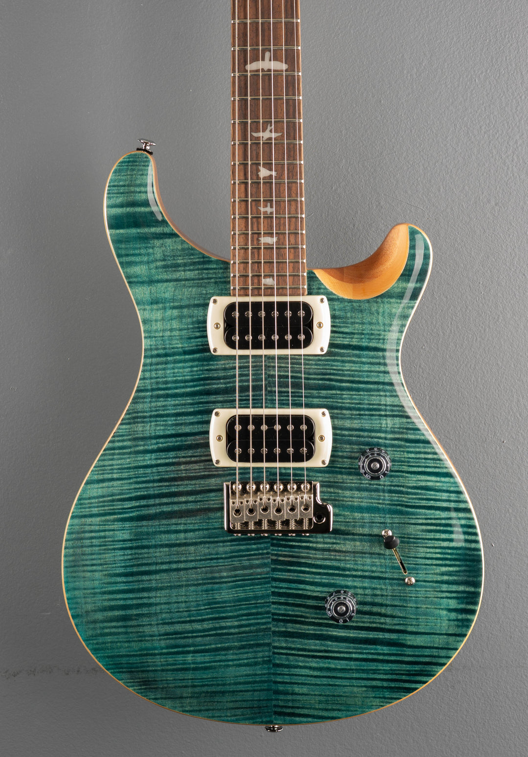 SE Custom 24, &