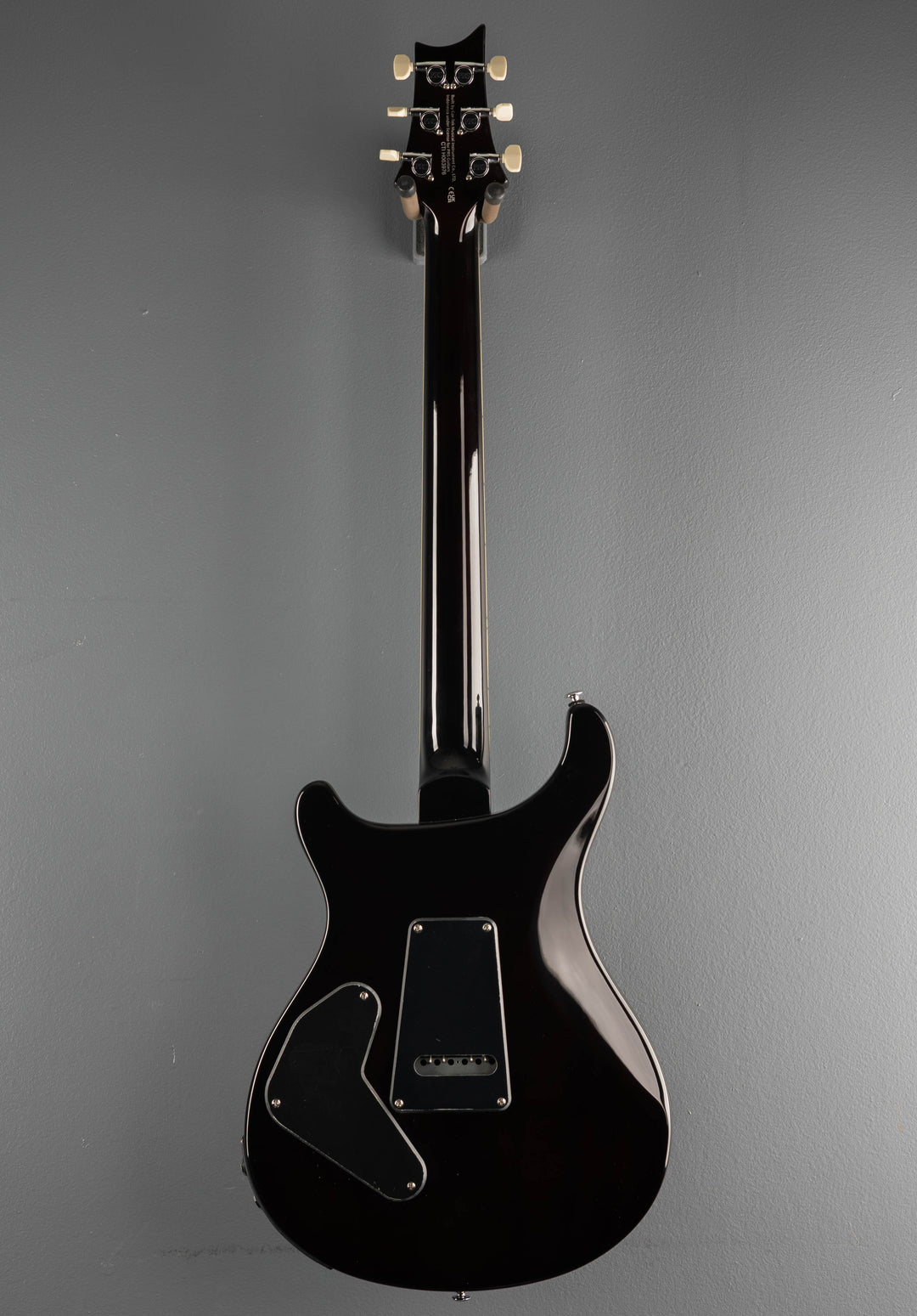 SE Custom 24 Semi Hollow Piezo &