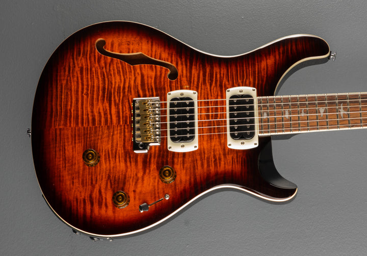 SE Custom 24 Semi Hollow Piezo &
