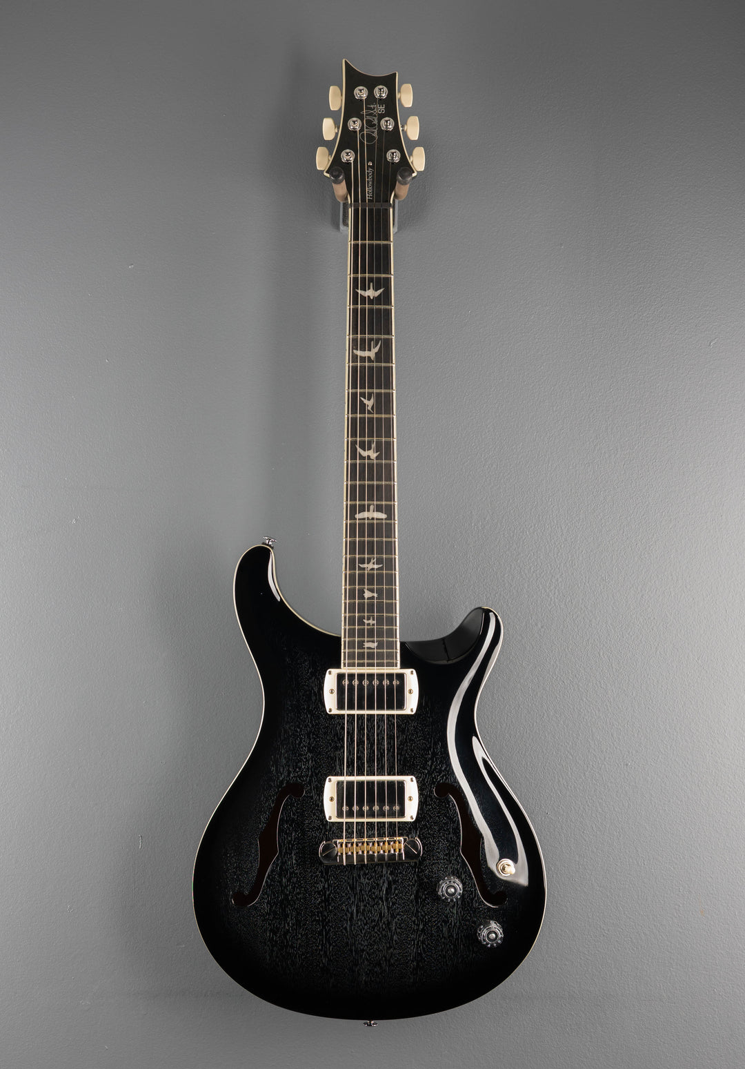 SE Hollowbody Standard, &