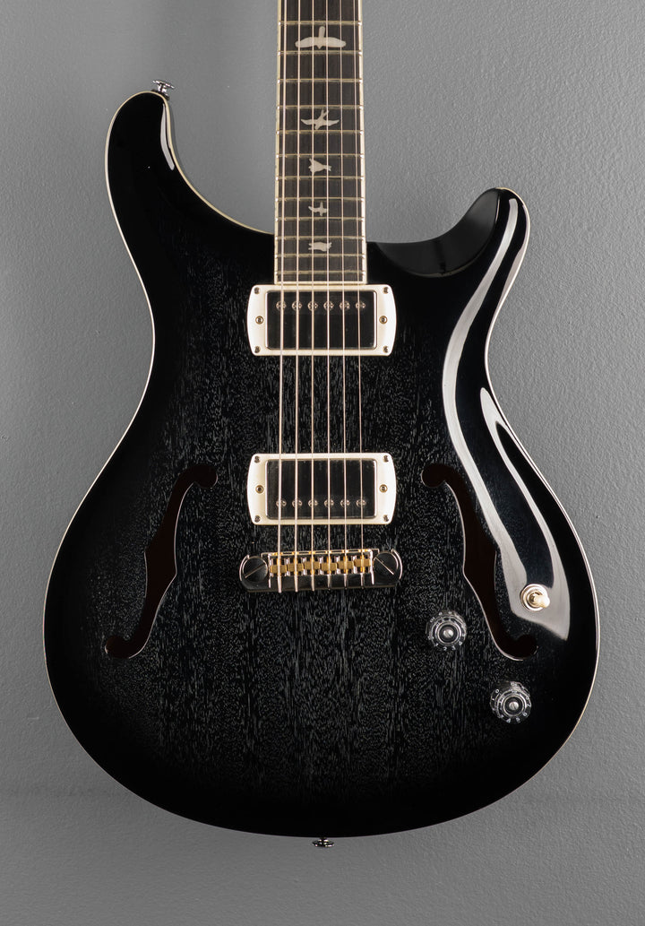 SE Hollowbody Standard, &