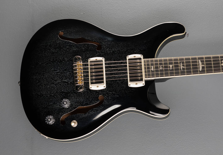 SE Hollowbody Standard, &
