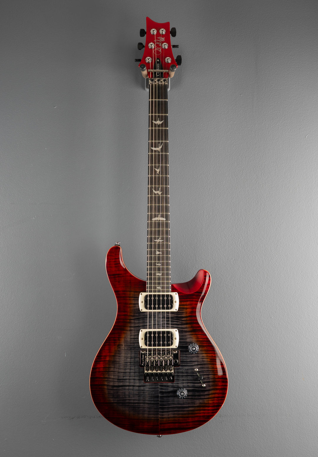 SE Custom 24 "Floyd" &