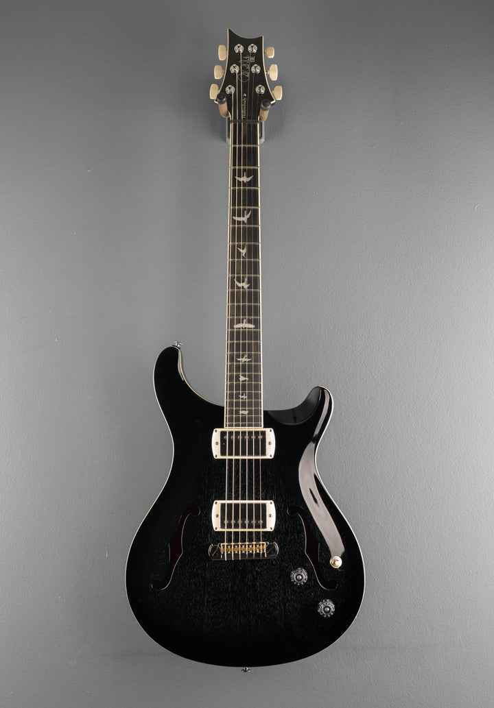 SE Hollowbody Standard, &