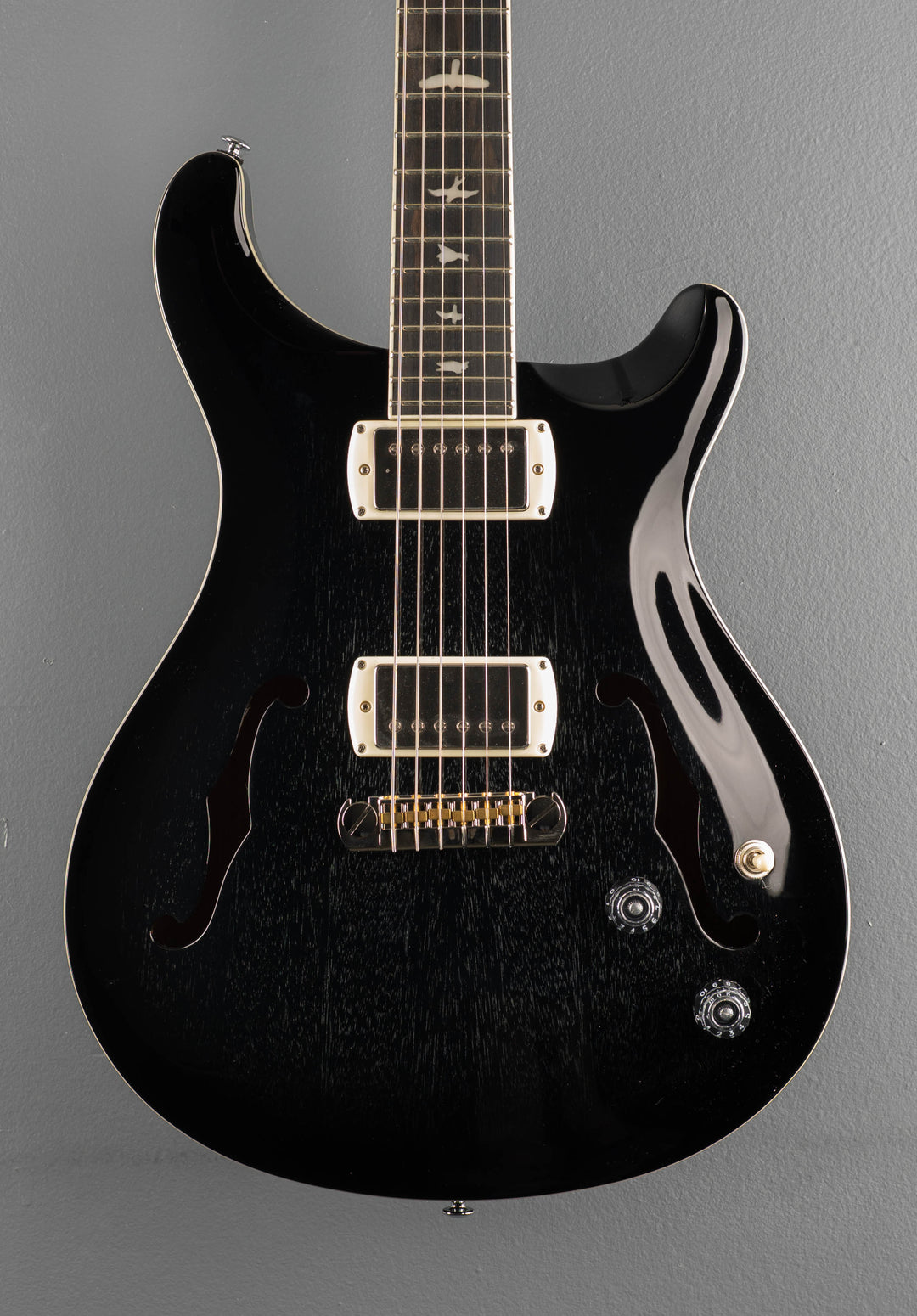 SE Hollowbody Standard, &