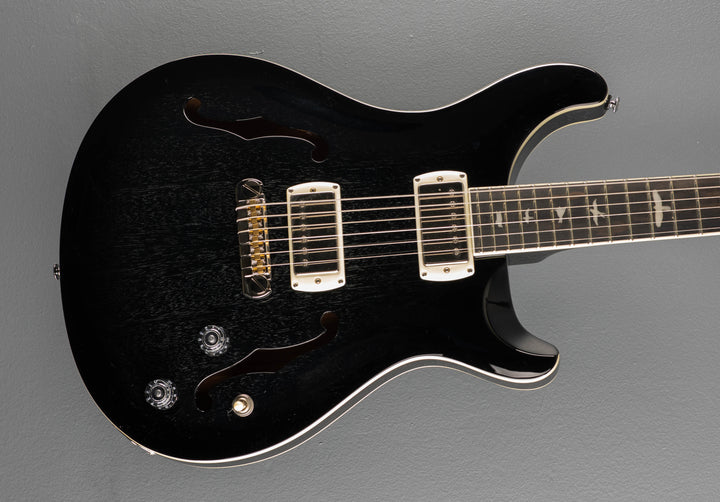 SE Hollowbody Standard, &