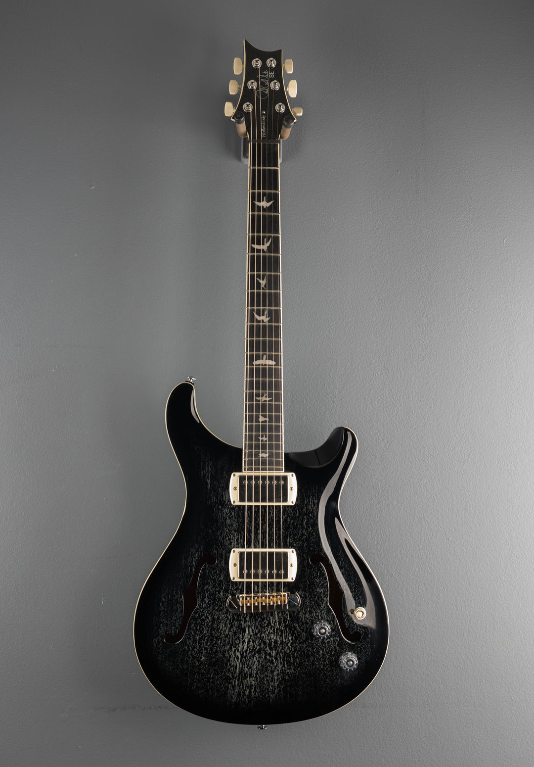 SE Hollowbody Standard, &