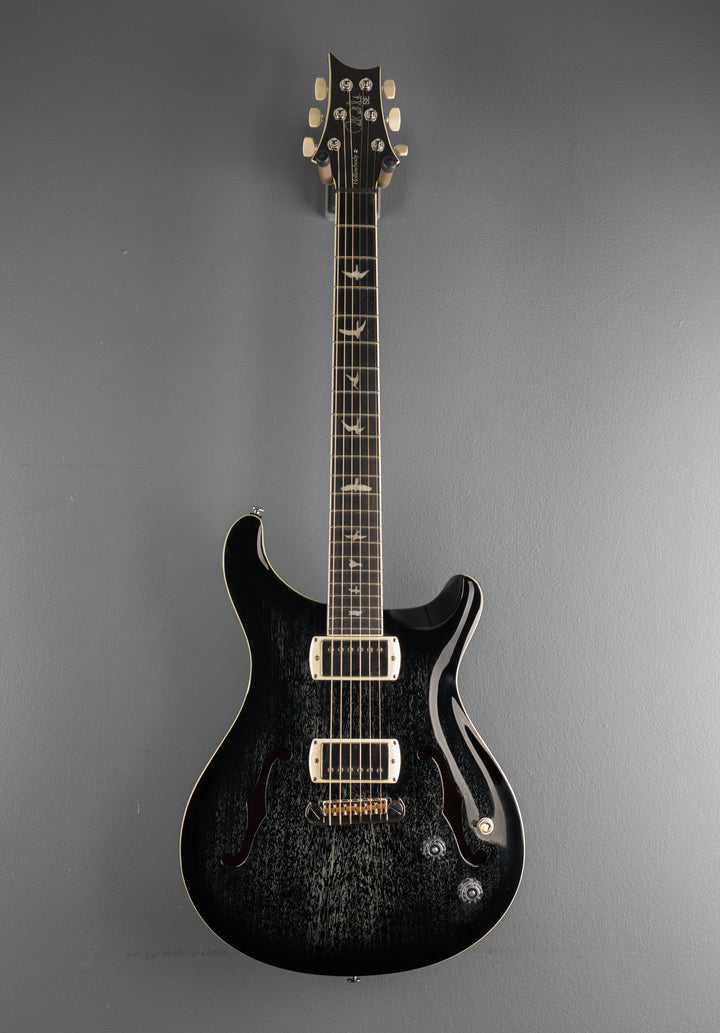 SE Hollowbody Standard, &