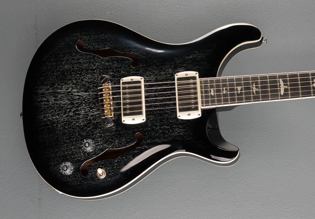 SE Hollowbody Standard, &