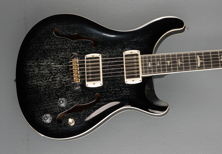 SE Hollowbody Standard, &