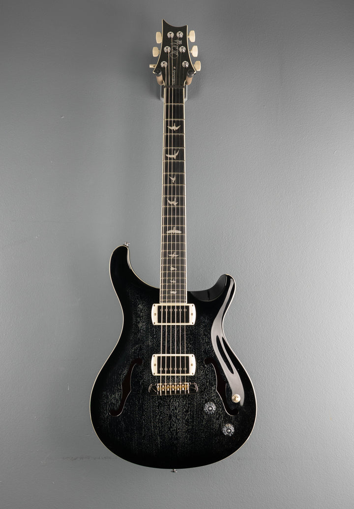 SE Hollowbody Standard, &