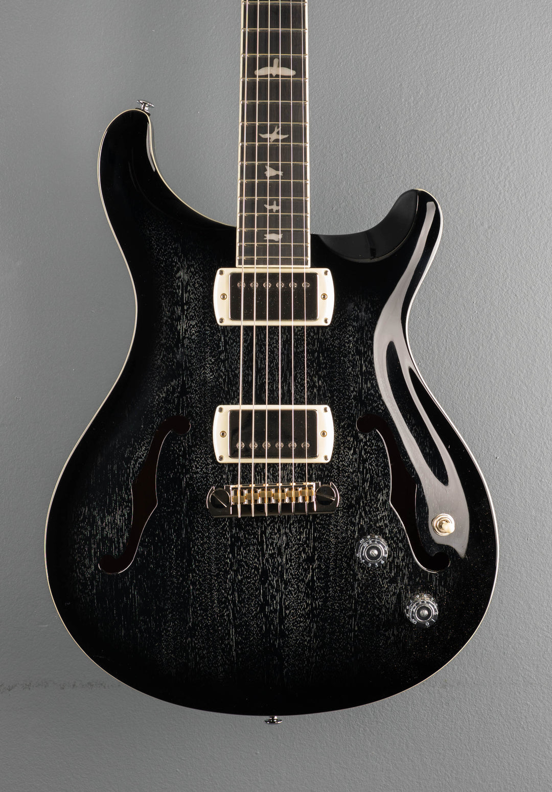 SE Hollowbody Standard, &