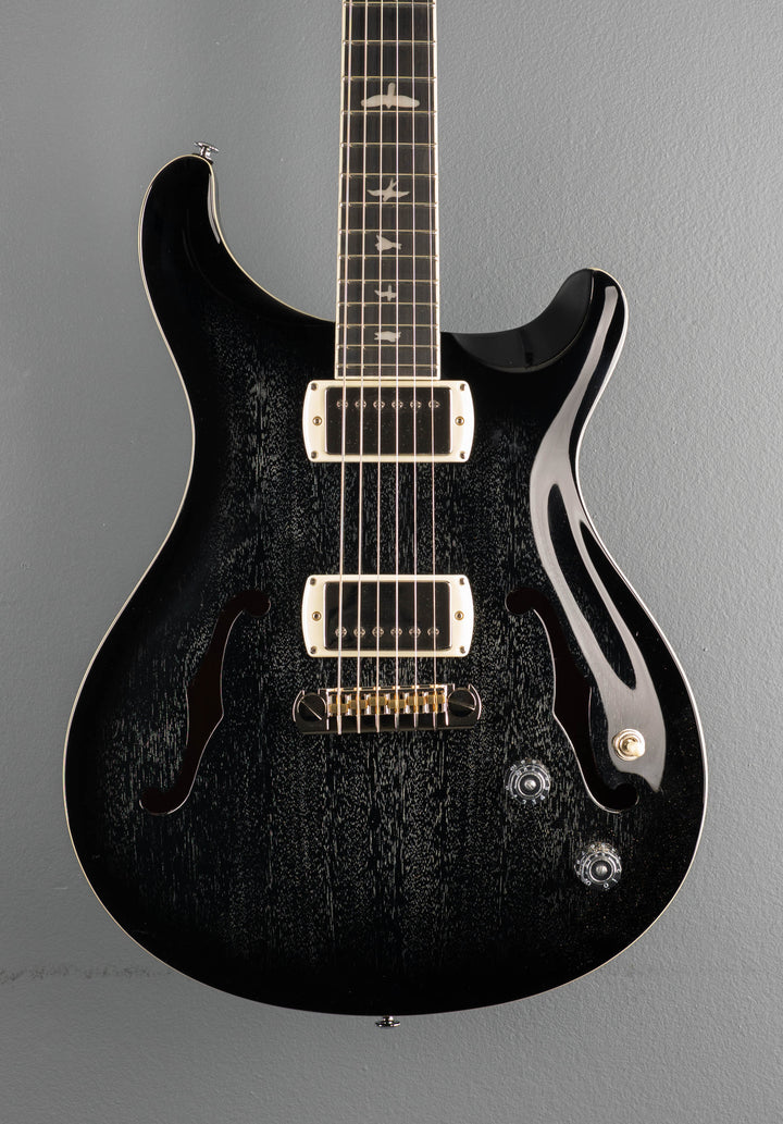 SE Hollowbody Standard, &