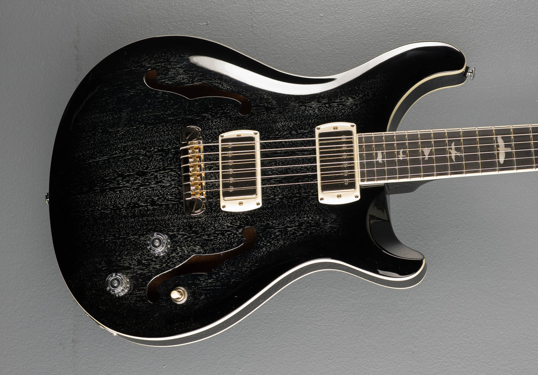 SE Hollowbody Standard, &