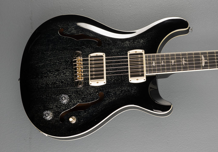 SE Hollowbody Standard, &
