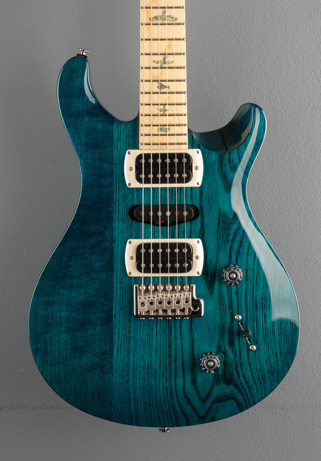 SE Swamp Ash Special &