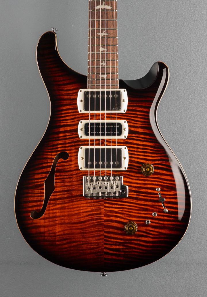 SE Special Semi Hollow, &