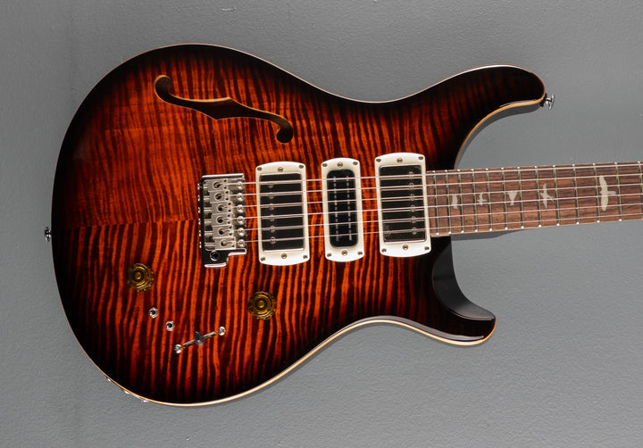 SE Special Semi Hollow, &