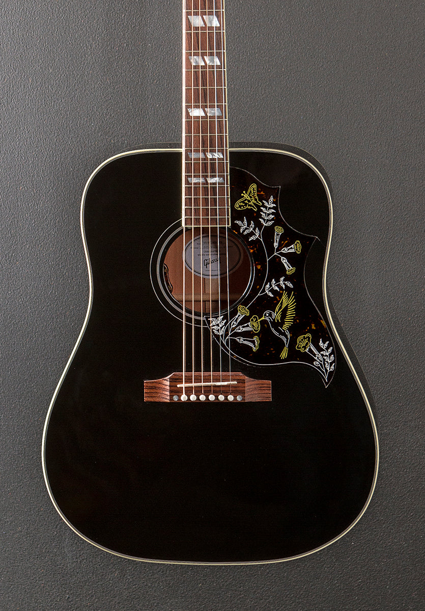 Hummingbird Standard - Ebony