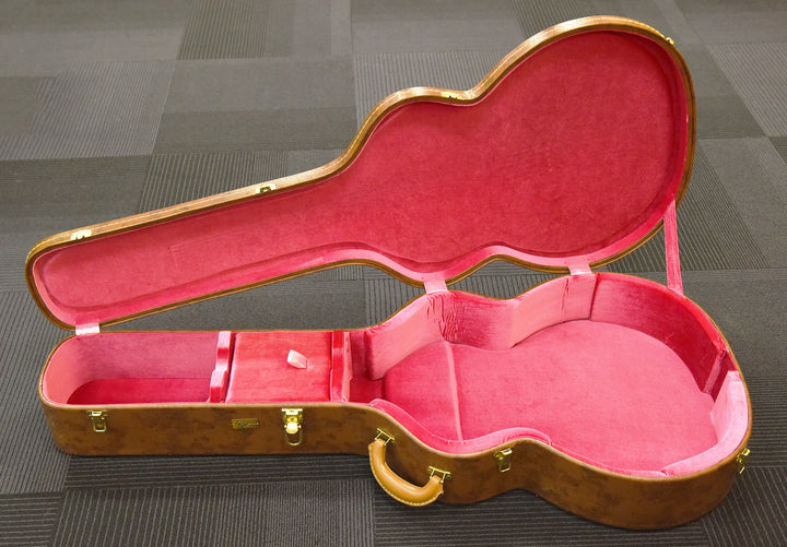 Lifton Historic SJ-200 Case, Recent