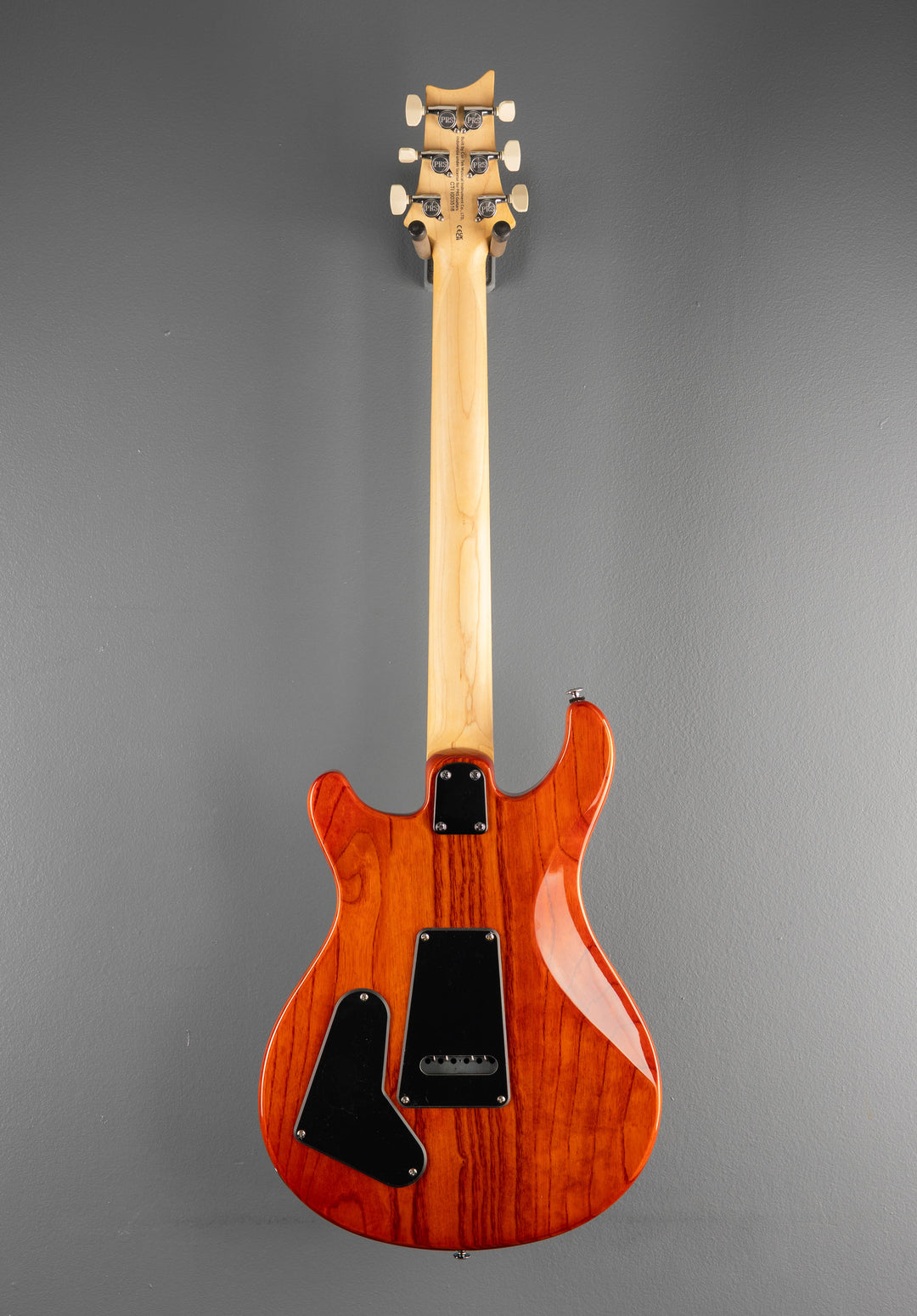 SE Swamp Ash Special &