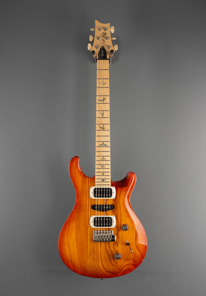 SE Swamp Ash Special &