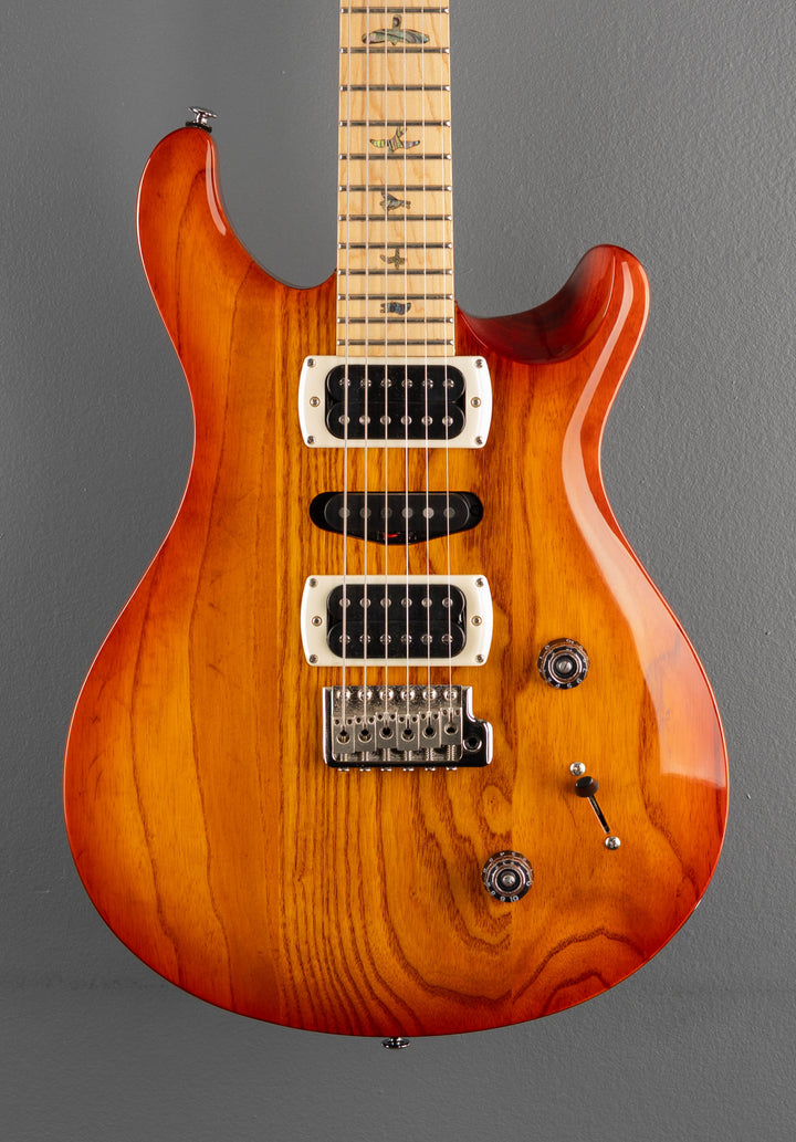 SE Swamp Ash Special &