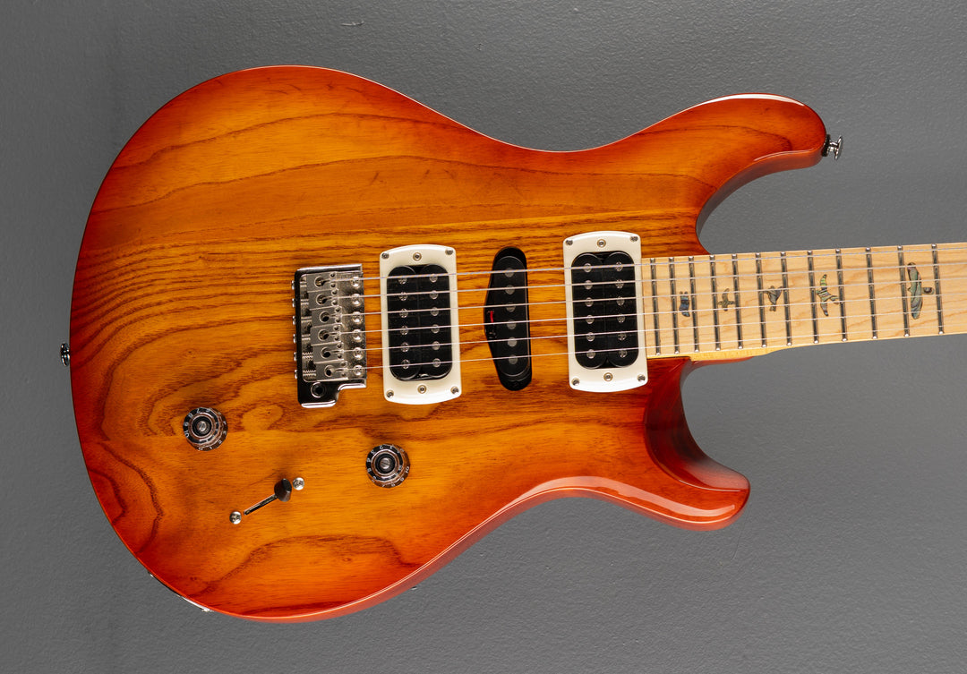 SE Swamp Ash Special &